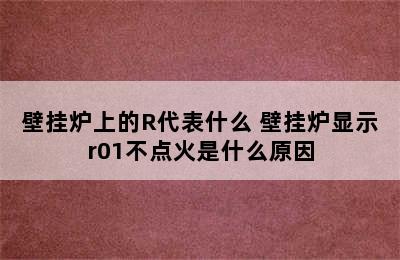 壁挂炉上的R代表什么 壁挂炉显示r01不点火是什么原因